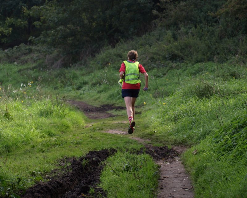 stage4nearlyhalfway3.jpg