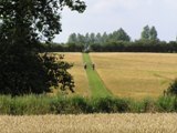 After Edingthorpe Church